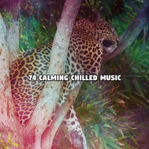 74 Calming Chilled Music - Relaxing Spa Music