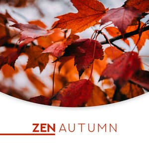 Zen Autumn: Perfect Relaxation to Start Autumn Slowly, Meditate in Autumn - Mindfulness Mind Body Space