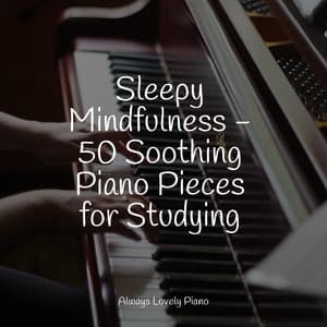 Sleepy Mindfulness - 50 Soothing Piano Pieces for Studying - Romantic Piano