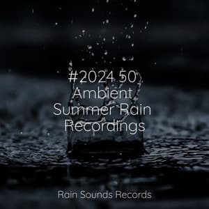 #2024 50 Ambient Summer Rain Recordings - Bird Sounds