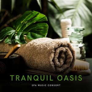 Tranquil Oasis: Peaceful Spa Music - Ambient Music Collective