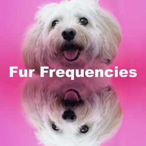 Fur Frequencies - Music for Dog's Ear