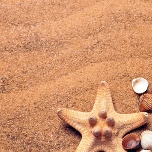 10 Waves: Pure Aquatic Ambience - Ocean Sounds