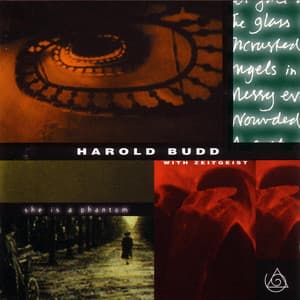 She Is A Phantom - Harold Budd