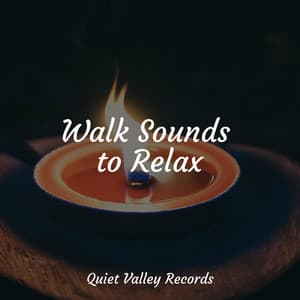 Walk Sounds to Relax - Deep Relaxation Meditation Academy