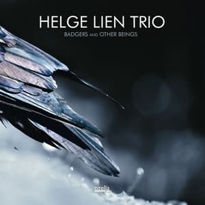 Badgers and Other Beings - Helge Lien Trio