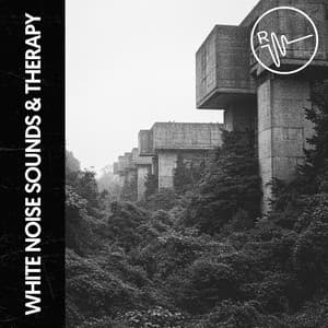 White Noise Sounds & Therapy: Harmony in Waves - Relajacion