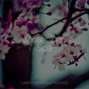 Winter Zen Spa - Ambient Rain