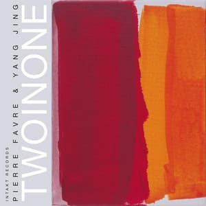 Two in One - Pierre Favre