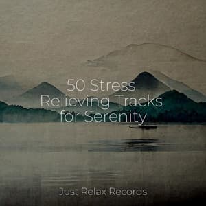 50 Stress Relieving Tracks for Serenity - Zen Music Garden