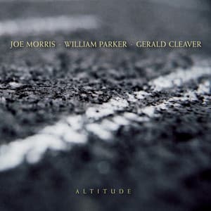 Altitude - Joe Morris
