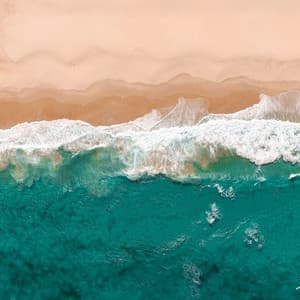 Relaxation Melodies: Ocean Sounds with Seagulls for Serenity - Calm Sea Sounds