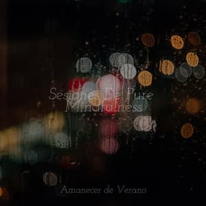 Sesiones De Pure Mindfulness - Musica para Dormir 101