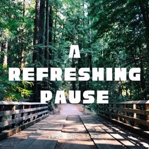 Into the Woods: A Refreshing Pause - Afternoon Chill Out
