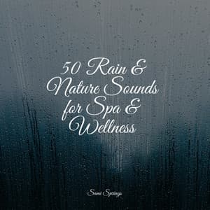 50 Rain & Nature Sounds for Spa & Wellness - Gentle Rain Makers
