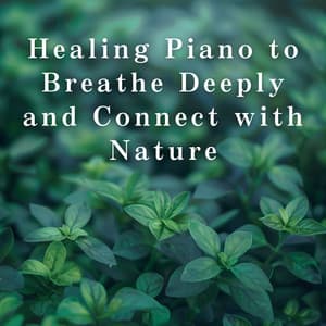 Healing Piano to Breathe Deeply and Connect with Nature - Relaxing BGM Project