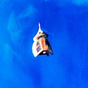 languid.oceans - languid.oceans