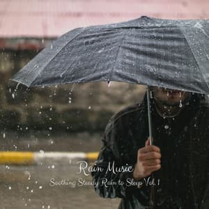 Rain Music: Purple Night Sky Vol. 1 - Meditation Rain Sounds