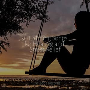 50 Calming Songs for Healing and Stress Relief - Brain Study Music Guys