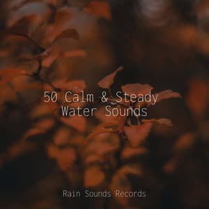 50 Calm & Steady Water Sounds - Sounds Of Nature : Thunderstorm, Rain