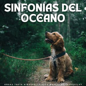 Sinfonías Del Océano: Ondas Theta Binaurales Para Mascotas Tranquilas - Movimientos Binaurales