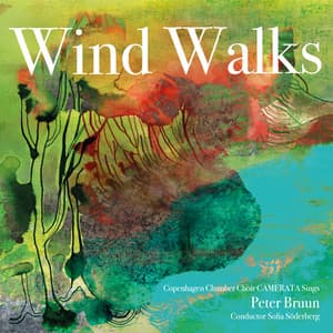 Wind Walks - Peter Bruun