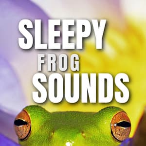 Sleepy frog sounds - Frog Sounds