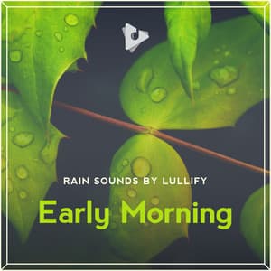 Early Morning - Rain Sounds by Lullify