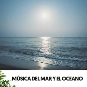 Música del Mar y el Oceano: Melodías del horizonte - Relajacion