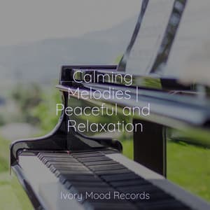 Calming Melodies | Peaceful and Relaxation - Ivory Mood