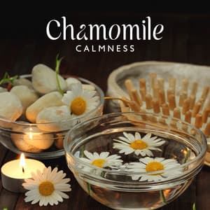 Chamomile Calmness - Relaxation Academy