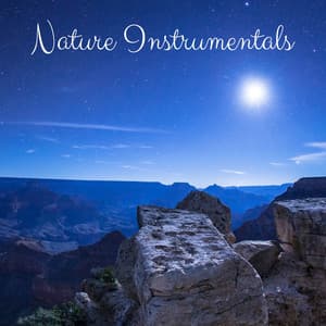 Nature Instrumentals - Sampling XL