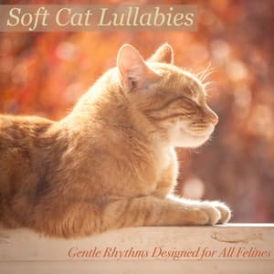 Soft Cat Lullabies: Gentle Rhythms Designed for All Felines - RelaxMyCat