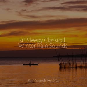 50 Sleepy Classical Winter Rain Sounds - Shakuhachi Sakano