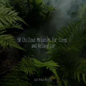 50 Chillout Melodies for Sleep and Relaxation - Relajacion Del Mar