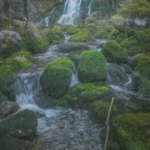 Classical Calmness - Johann Sebastian Bach