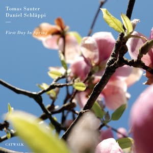 First Day in Spring - Tomas Sauter