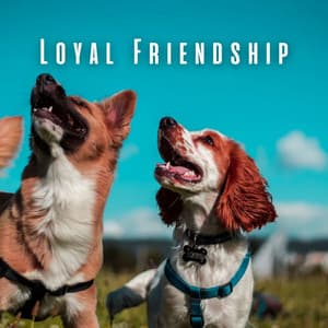 Loyal Friendship: Ambient Music Tribute to Dogs - Ambient Architects