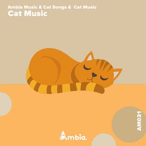 Cat Music - Ambia Music