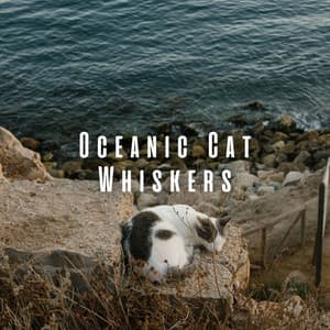 Oceanic Cat Whiskers: Binaural Sounds for Relaxed Cats - Oceans and Oceans