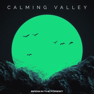 Calming Valley - Birds In The Forest