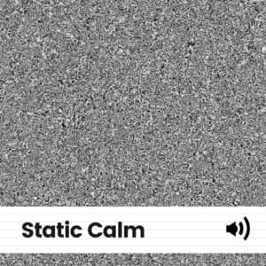 Static Calm - The Background Noise Company