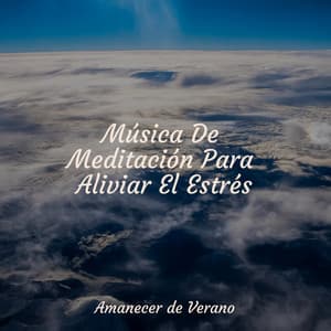 Música De Meditación Para Aliviar El Estrés - Meditación Maestro