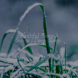 Beautiful Sleepy Songs | Deep Sleep - Relaxing Spa Music