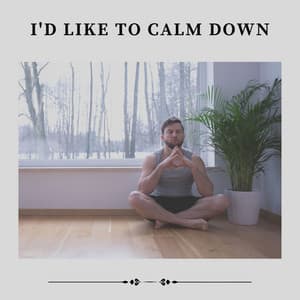 I'd Like to Calm Down - Epic Soundscapes