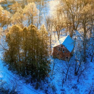 365 Feels: Daily Dose - Lofi Chill