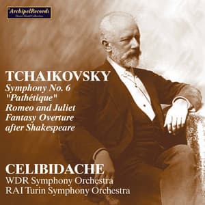 Tchaikovsky: Orchestral Works - Pyotr Ilyich Tchaikovsky