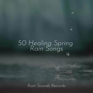 50 Healing Spring Rain Songs - Sons da natureza HD