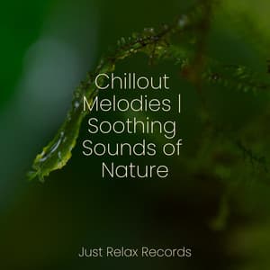 Chillout Melodies | Soothing Sounds of Nature - Nature Sound Collection
