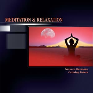 Meditation & Relaxation - Chakra's Dream